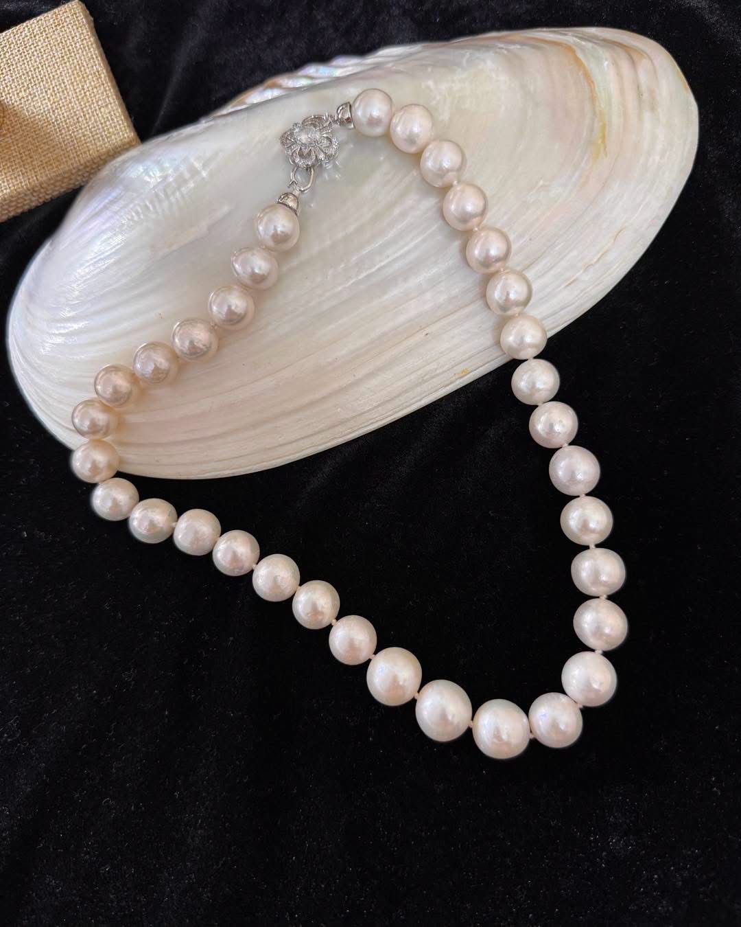 Real Sea pearl necklace